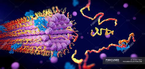 Proteins folding into their three dimensional structure, illustration. — 3d, artwork - Stock ...