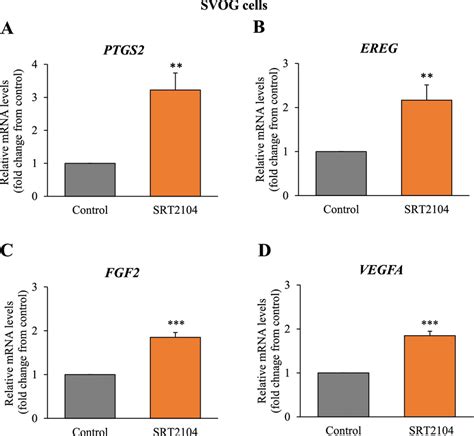 Srt Augments Ovulatory And Angiogenic Genes In Primary Hglcs Cells