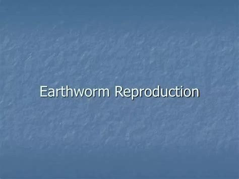 PPT - Earthworm Reproduction PowerPoint Presentation, free download ...