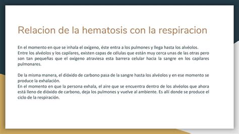 Hematosis La Hematosis Es Un Proceso Que Consiste En Un Intercambio