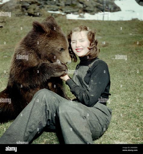 Sverre A Borretzen Actual Ntb Osos Mujeres Fotograf As E Im Genes De