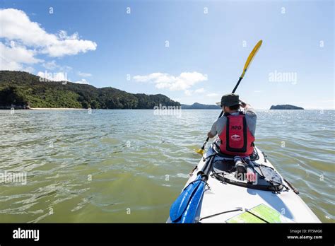 Abel Tasman national park, South Island, New Zealand Stock Photo - Alamy