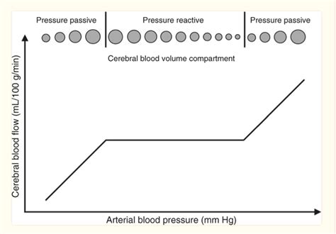 Cerebral autoregulation monitoring: an approach to individualized blood pressure management to ...