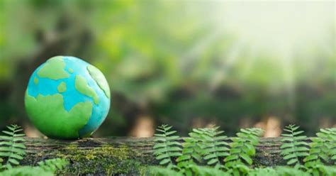 environmental audits        conduct  tsw