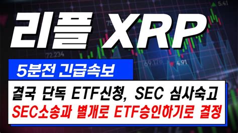 리플xrp Etf출시확정 Sec 소송건과는 별개 인정 리플 Xrp 리플코인 리플소송 리플etf Youtube