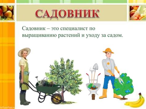 садовник | PPT
