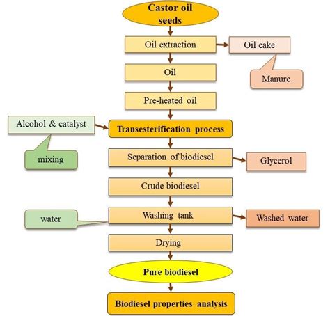 Conceptual Flow Chart Of Overall Biodiesel Production From Castor Oil Download Scientific Diagram