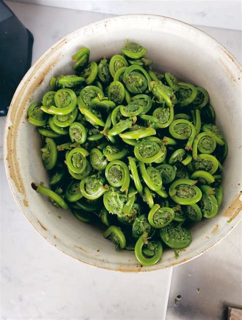 How To Use Fiddlehead Fern With Tips Ideas And Recipes The Vegan Atlas