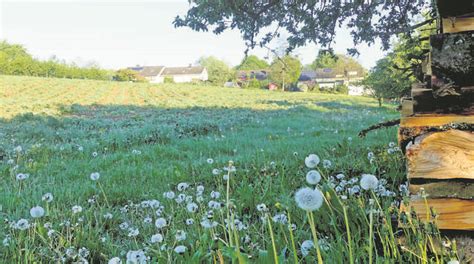 Achern Oberkirch Achern Fautenbach Umstrittenes Baugebiet In