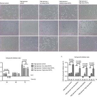 Effects Of Mcps On Apoptosis Biomarkers Caspase Caspase And Fas In