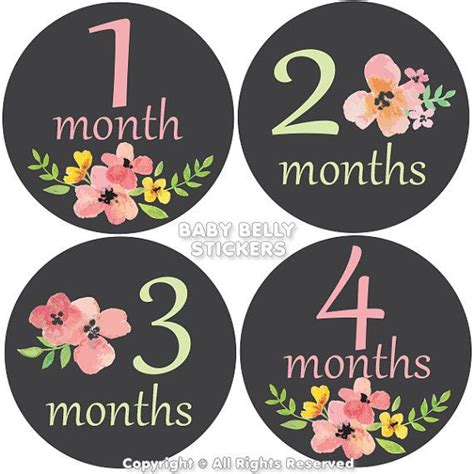 Floral Baby Month Stickers For Capturing Milestones