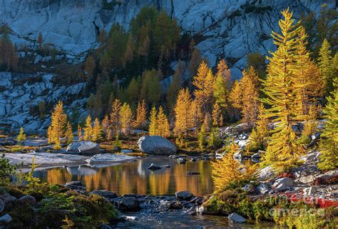 Enchantments Fall Colors Splendor Photograph by Mike Reid - Pixels