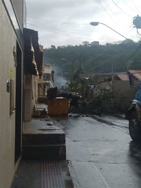 Queda de árvores telhados destruídos e ruas alagadas temporal provoca