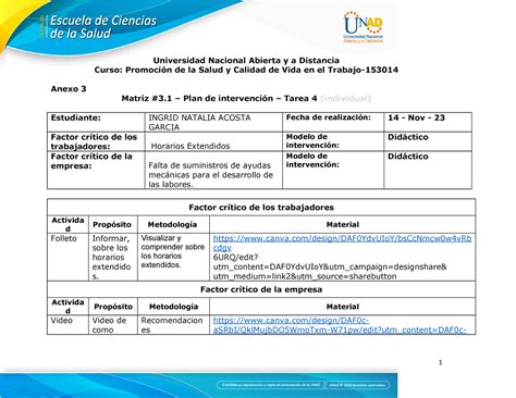 Anexo Matrices De Trabajo Y Plan De Intervenci N