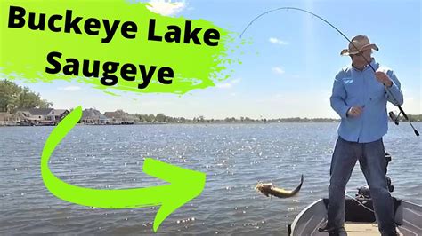 Buckeye Lake Saugeye Fishing YouTube