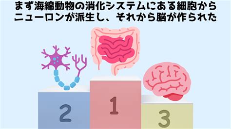 腸は第2の脳ではなくむしろ脳の方が腸から生まれたと判明 ナゾロジー