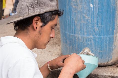 Dios del mezcal clonación del agave Laboratorio de periodismo de