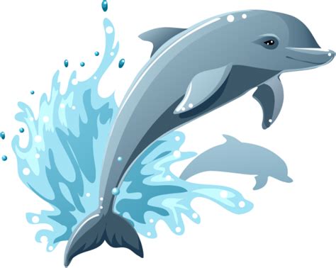 Dolphin Vector Graphic Dolphins Tattoo Dolphin Tours