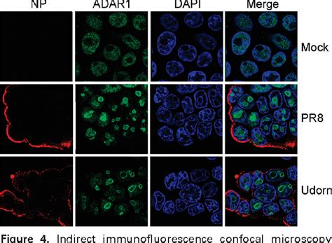 Figure 4 From Quantitative Proteomics Using SILAC Coupled To LC MS MS