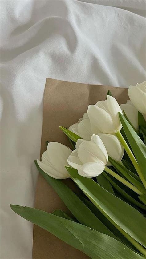 White flower aesthetic | wallpaper | Iphone wallpaper green, Iphone ...