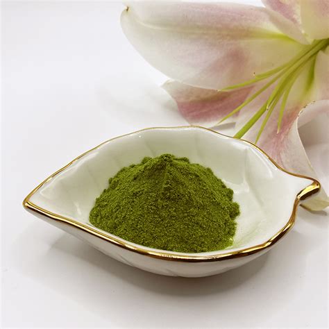 Seaweed Extract Seaweed Extract Powder For Plants