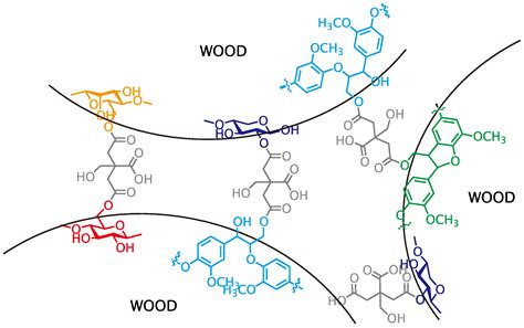 Chemical Makeup Of Wood Saubhaya Makeup