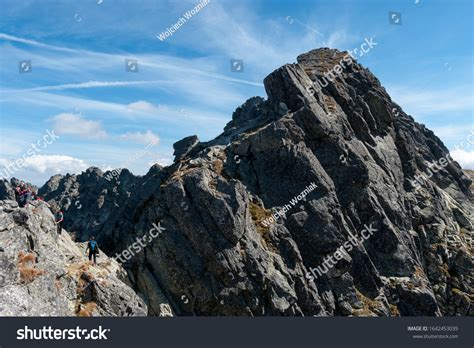 1,773 Orla per Images, Stock Photos & Vectors | Shutterstock