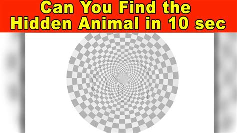 Can You Find The Animal In 10 Sec Optical Illusions That Will Trick