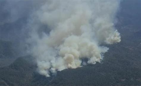 Por Incendios Afectadas Más De 6 Mil 600 Hectáreas En Lo Que Va Del