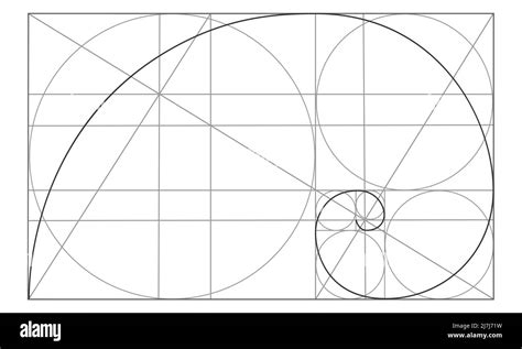 Plantilla De Proporci N Dorada Espiral Logar Tmica En Rect Ngulo Con