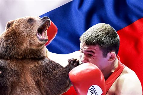 Russian Bear Attack: Boxer Shoots, Stabs Brown Bear to Death in Siberia