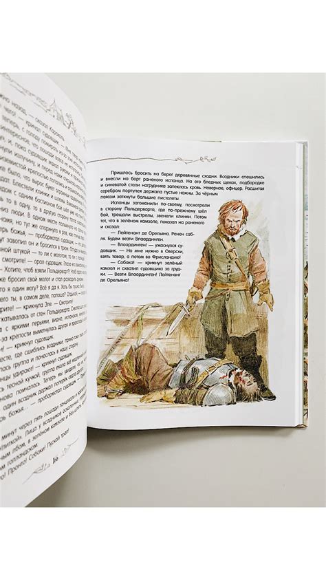 Кеес Адмирал Тюльпанов - Vilki Books