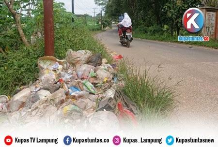 Kupas Tuntas Tumpukan Sampah Di Perbatasan Metro Lamtim Resahkan Warga