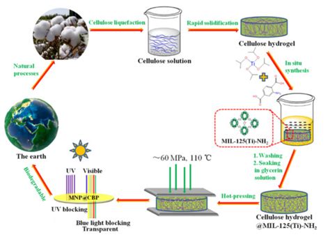 Sustainable Polymer Technologies