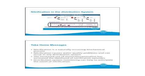 Pdf Nitrification In The Distribution System · Nitrification •nitrate