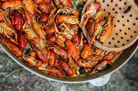 Premium Photo Boiled Red Crayfish Or Crawfish With Herbs Crayfish