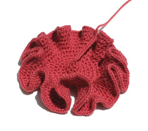 CABINET Crocheting The Hyperbolic Plane An Interview With David