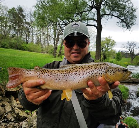 Spruce Creek Pa Fly Fishing Season Trout Haven