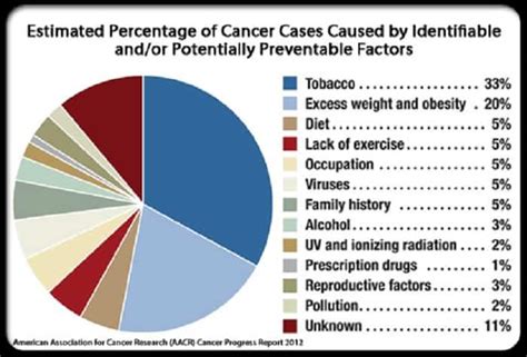 16 Cancer Facts Types Causes Diet Prevention And More