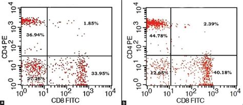 Flow Cytometry Dot Plot