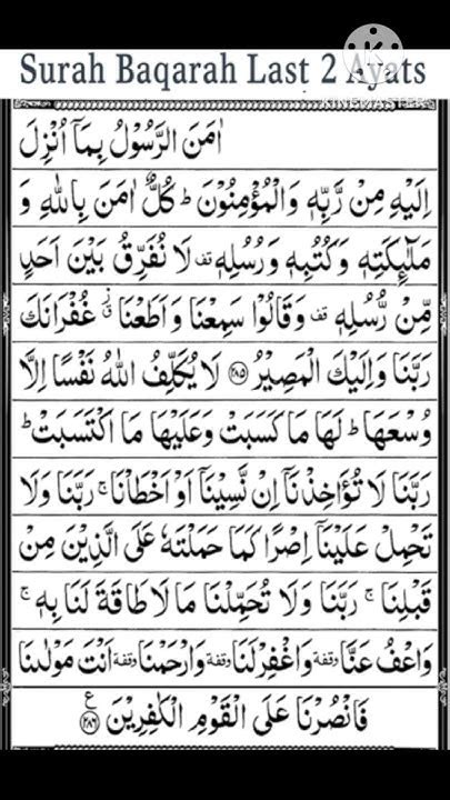 Surah Bakrah Last Ayat Tilawat Mashallah 🥰😍😚😍 ️ ️ ️💕 ️ ️🌆🌃🌇🌇🕌🕋🕌🕋☪️quran Explore Tilawat Youtube