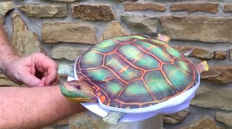 Dad Launches Kickstarter To Get Everyone A Cool Turtle Hat