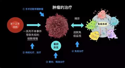 为什么身边得癌症的人越来越多？保之道