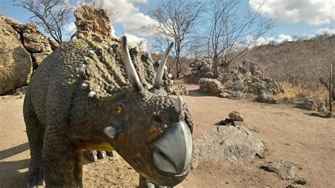 Visitar O Parque Dos Dinossauros Em Parelhas Rn Uma Aventura