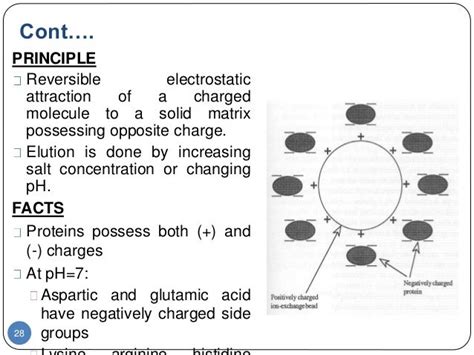 Protein Fractionation