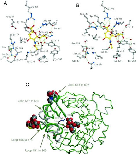 Second Sialic Acid Binding Site In Newcastle Disease Virus Hemagglutinin Neuraminidase