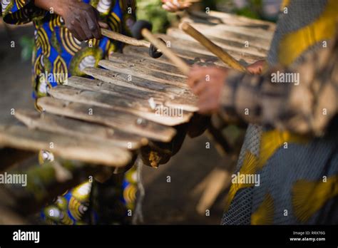 wooden xylophone  played stock photo alamy