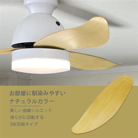 reudo  led dc