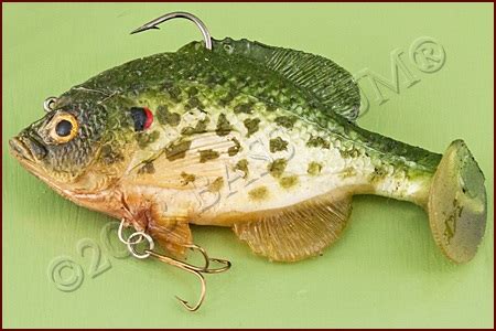 Fishing Swimbaits, Using A Swimbait Rod For Bass Swimbaits, Swimbait Lures