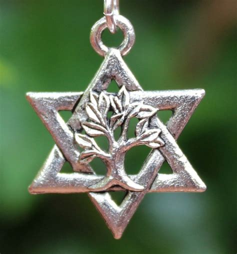 Star Of David Tree Of Life Pendant Necklace Sterling Silver Etsy